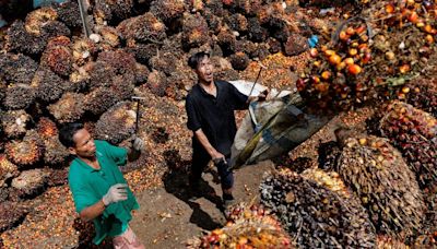 Indonesia's trade surplus beats forecast in August on export recovery