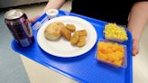 How to access free summer meals for children in Springfield schools, other sites