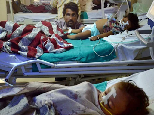 Health Ministry reviews Chandipura virus, Acute Encephalitis Syndrome cases in Gujarat, Raj and MP - The Economic Times
