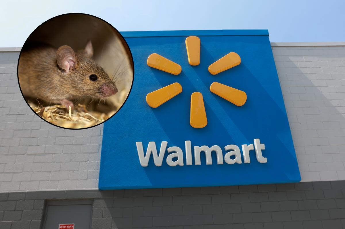 Albany Walmart Rat Photo Is an Internet Hoax