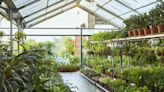 Pro Gardeners Agree: This Is the Best Place to Buy Plants for Your Garden