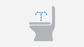 Is a Bidet Seat Right for You and Your Bathroom?