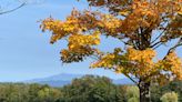 Vermont's fall foliage starts to catch up: What to know as peak approaches in some areas.