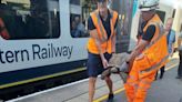 Escaped tortoise causes railway disruption after being spotted on tracks
