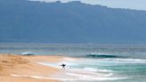 Hawaii lifeguard dies in shark attack while surfing off Oahu