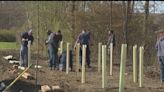 First Energy donates 500 trees to Mahoning County parks