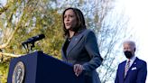 Democrats sent by Kamala Harris' advisors to praise her actually confided to the New York Times that they'd 'lost hope in her'