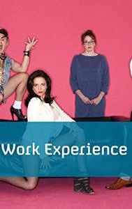 The Work Experience