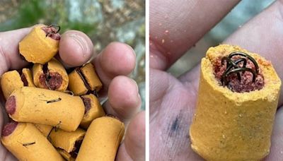 ‘Disturbing’: PA Game Commission investigating dog treats embedded with fish hooks along Appalachian Trail in Lehigh County