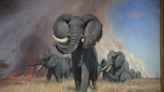 Exhibit at St. Petersburg museum features paintings that captures wildlife on canvas