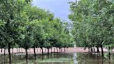 Southern New Mexico saw above average rainfall this monsoon season. Here's a look at the totals.