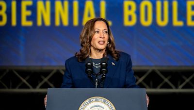 294 millions de dollars de dons : Kamala Harris fait la course en tête devant Donald Trump