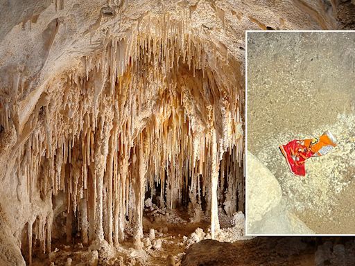 National Park Service blames bag of Cheetos for disrupting entire Carlsbad Caverns ecosystem