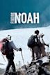 Finding Noah