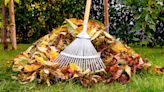 What to Do—and What Not to Do—With Dead Leaves in the Fall