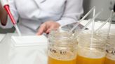 【食力】【難驗摻混】蜂蜜檢驗方法信效度失準？真蜜有可能會驗成假蜜！
