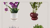 10 Self-Watering Planters That Are Easy to Use and Look Good