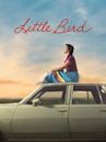 Little Bird