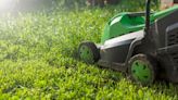 11 Things You Should Look Out for When Mowing the Lawn