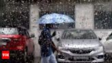 Light showers likely in New Delhi, temperature drop expected | Delhi News - Times of India