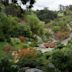 Japanese Friendship Garden (Balboa Park)