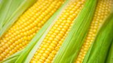 How Long You Should Really Boil Corn on the Cob for Perfectly Sweet Ears