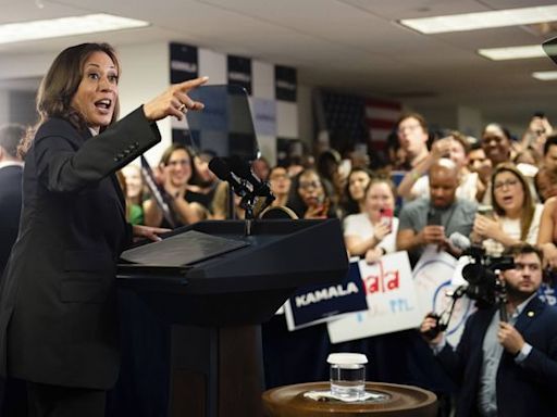 Présidentielle américaine 2024 : Déjà en campagne, Kamala Harris compare Trump à un « escroc » et un « prédateur »