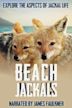 Beach Jackals