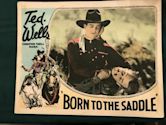 Born to the Saddle (1929 film)