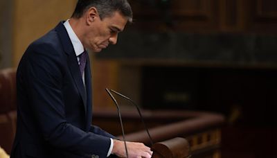 Manos Limpias denuncia también al hermano de Pedro Sánchez por presuntos delitos fiscales y malversación