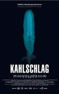 Kahlschlag