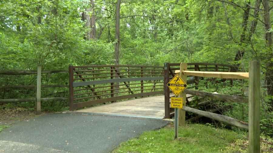 Montgomery County sees increase in black bear sightings