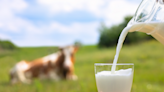 6 things to mix in milk for added benefits | The Times of India