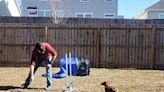 Watch This Dog Dad Entertain His Pup With a Backyard Agility Course in Heartwarming Video