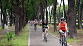 嘉市自行車道騎乘體驗 穿越城市樹林 (圖)