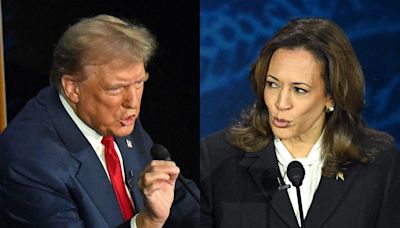 Kamala Harris went right for the jugular and baited Trump about his rally crowd size. Then Trump went off the rails.