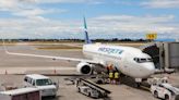 Passenger booted from Mexico WestJet flight for excessive bathroom use