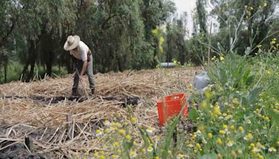 La Escuela Chinampera busca regresar los alimentos a la mesa de los mexicanos