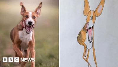 Hercule Van Wolfwinkle: Pet artist to draw non-stop for 24 hours
