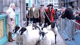 Watch: Herd of sheep cross London’s Southwark Bridge led by celebrity chef Richard Corrigan