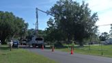 JEA trims trees ahead of hurricane season to reduce risk of branches falling on powerlines
