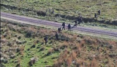 Las fuerzas federales sumarán a biólogos para que estudien si pumas y yacarés atacaron a Loan en Corrientes