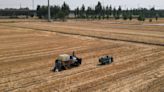 Do Mar Negro ao Meio-Oeste dos EUA, clima extremo ameaça a produção agrícola
