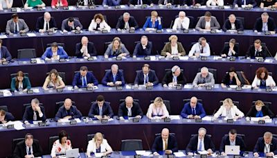 Industria, Justicia y Medio Ambiente serán las comisiones de la Eurocámara con más eurodiputados españoles