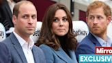 Harry must pick right time for Wills and Kate reunion and it's not now - expert