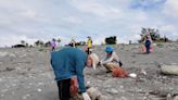 2024國家海洋日「永續東海岸×淨灘尋寶趣」約3百人響應 共清出212公斤海灘廢棄物 | 蕃新聞