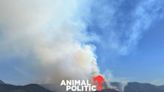 Hay 120 incendios forestales activos en el país; Edomex suma 4 muertos y 18 siniestros