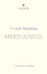 Mindfulness (Tricycle Teachings #5)