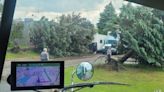 Trees down in Circle Pines, Minn. during storms
