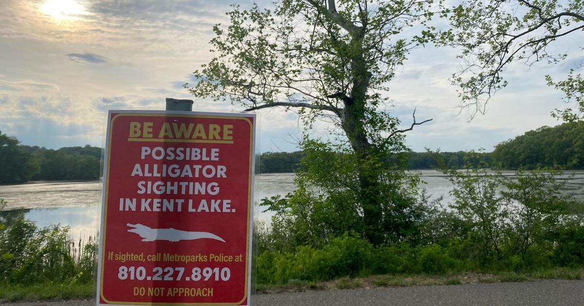 Officials warn of possible alligator sighting in lake at Kensington Metropark